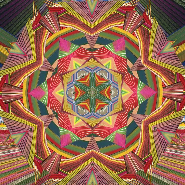 ABUNDANCE // Flower Fields Travel   Hot Yoga Mat