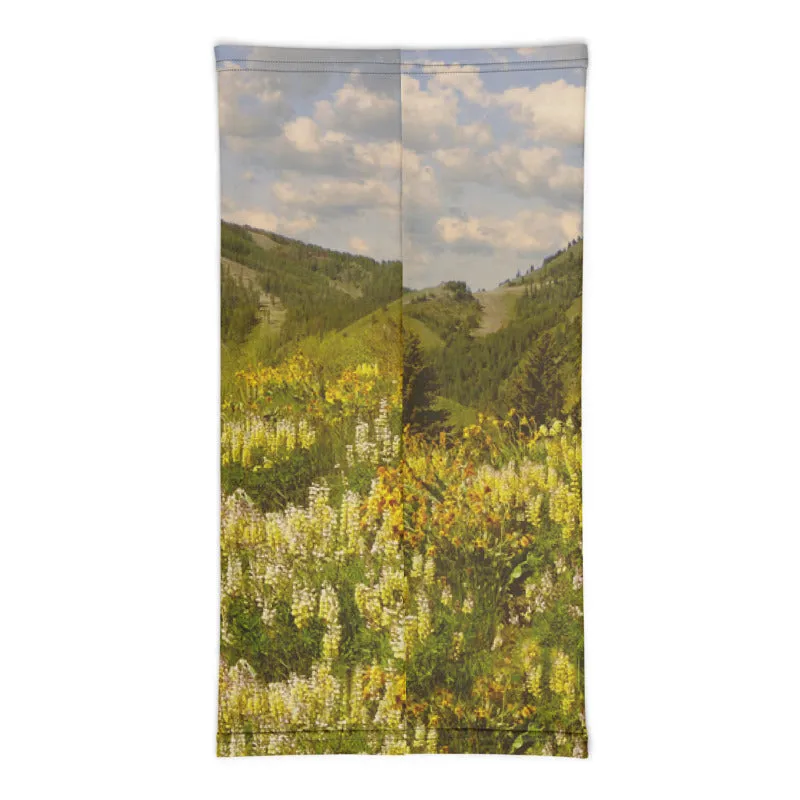 Baldy View Neck Gaiter