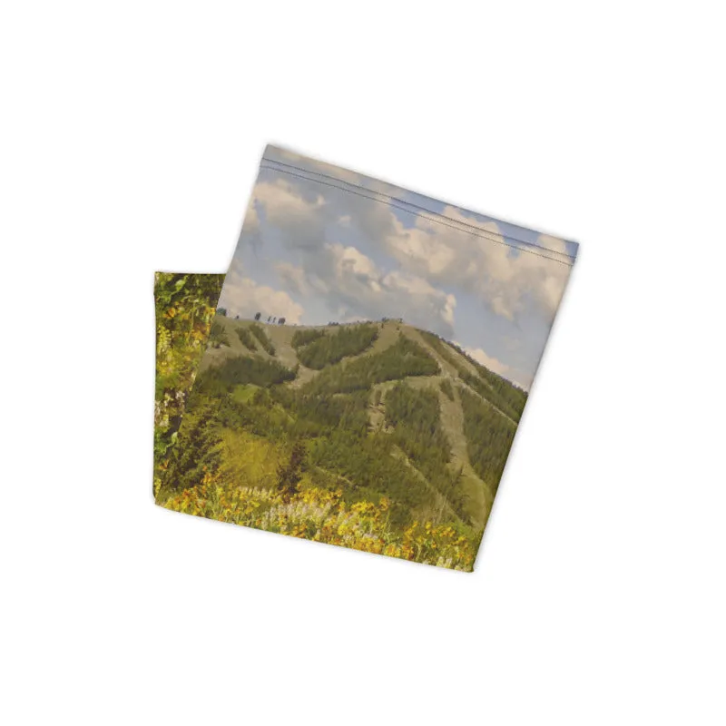 Baldy View Neck Gaiter