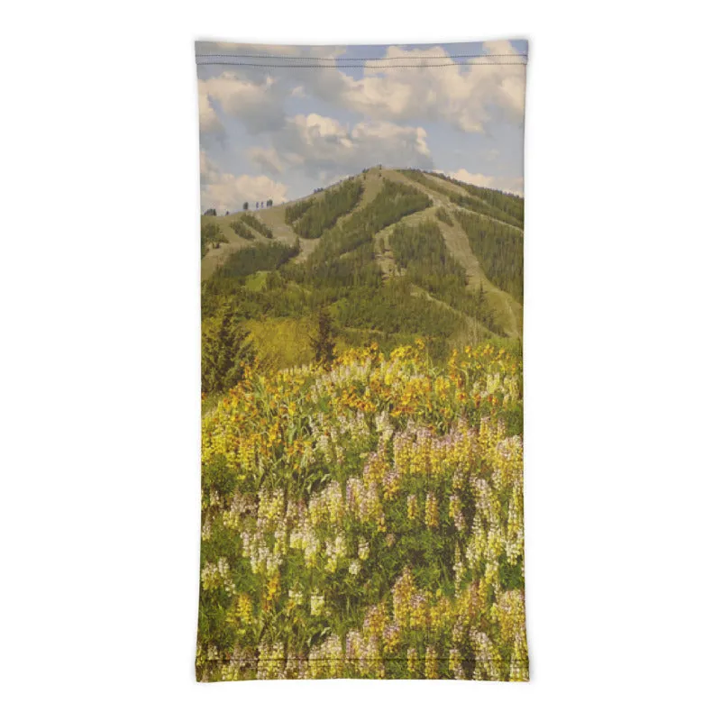 Baldy View Neck Gaiter
