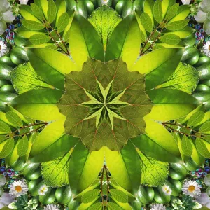 ENERGY // Green Prana Travel   Hot Yoga Mat