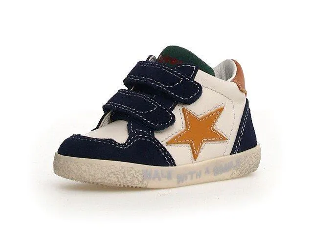 Falcotto Alnoite High Top