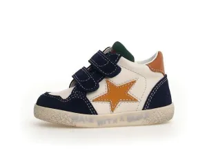 Falcotto Alnoite High Top