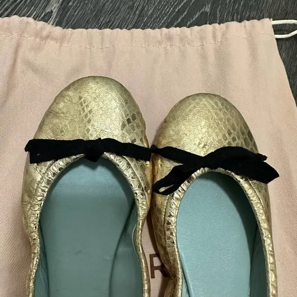 FINAL PRICE DROP✨ Aera Brigitte Ballet Flat (Women)