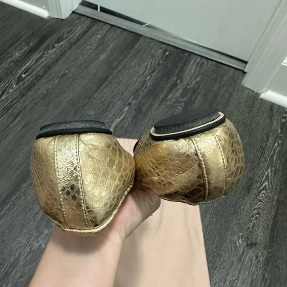 FINAL PRICE DROP✨ Aera Brigitte Ballet Flat (Women)