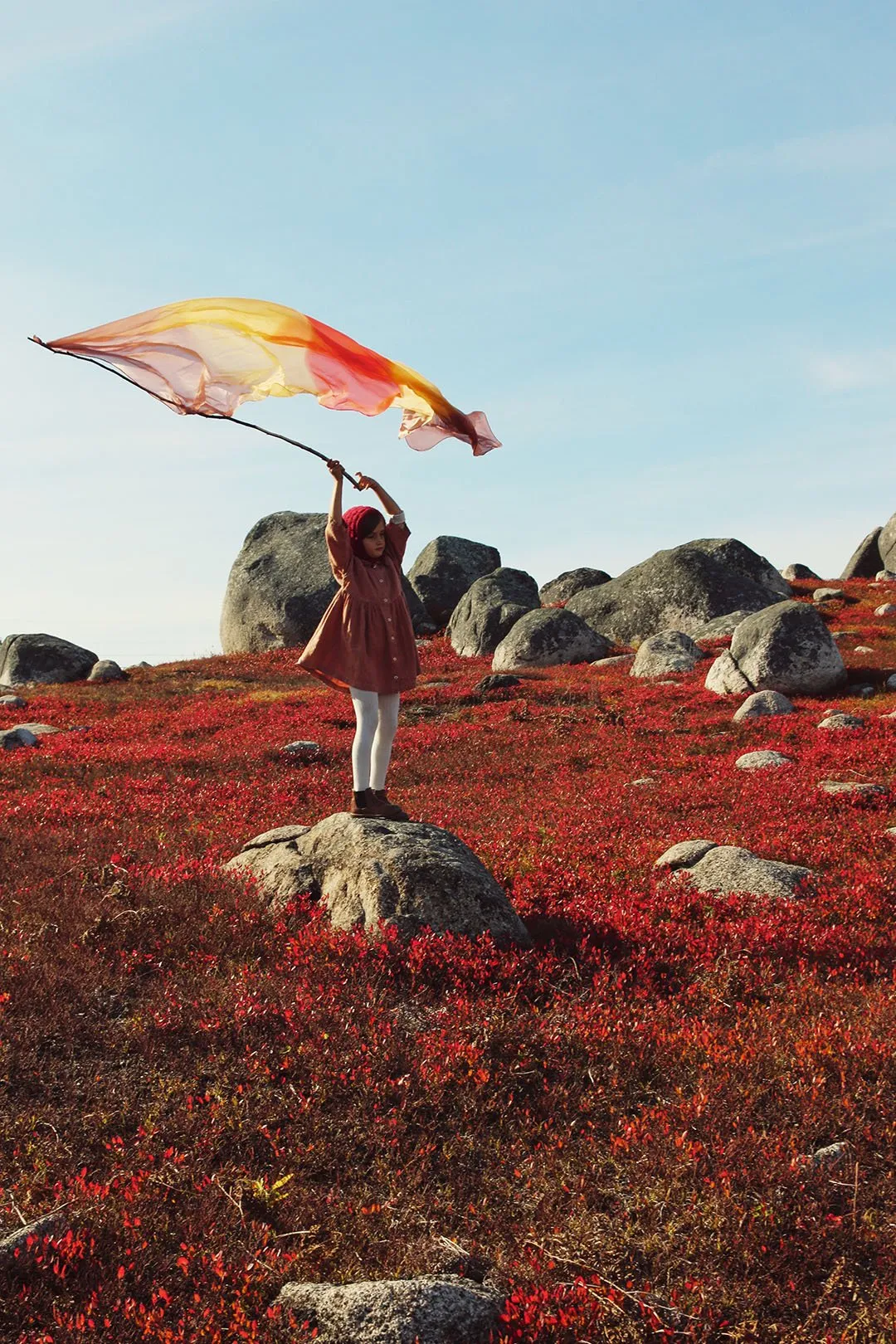 Giant Earth Playsilks