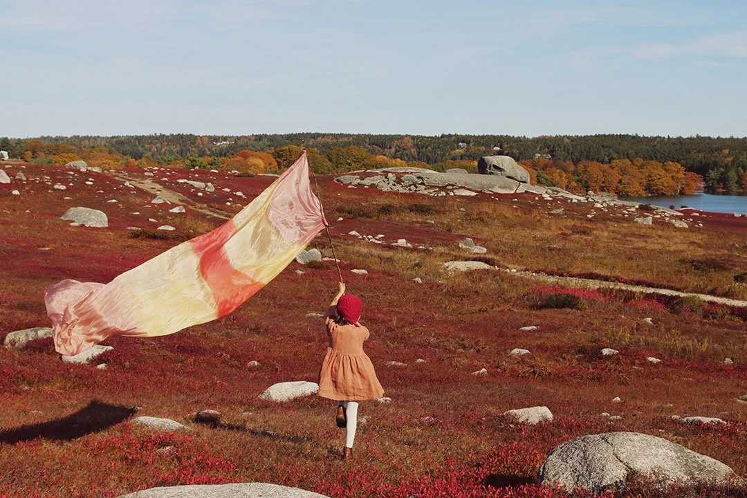 Giant Earth Playsilks