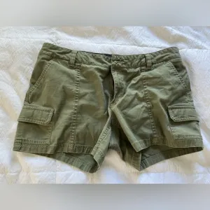 Green The Noeth Face Day hike shorts