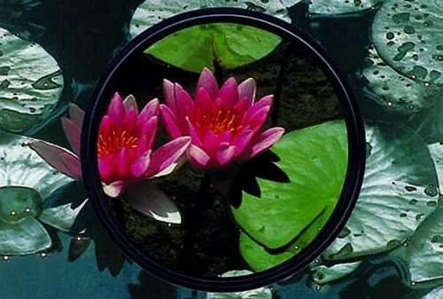 Heliopan Circular Polarizer Filter