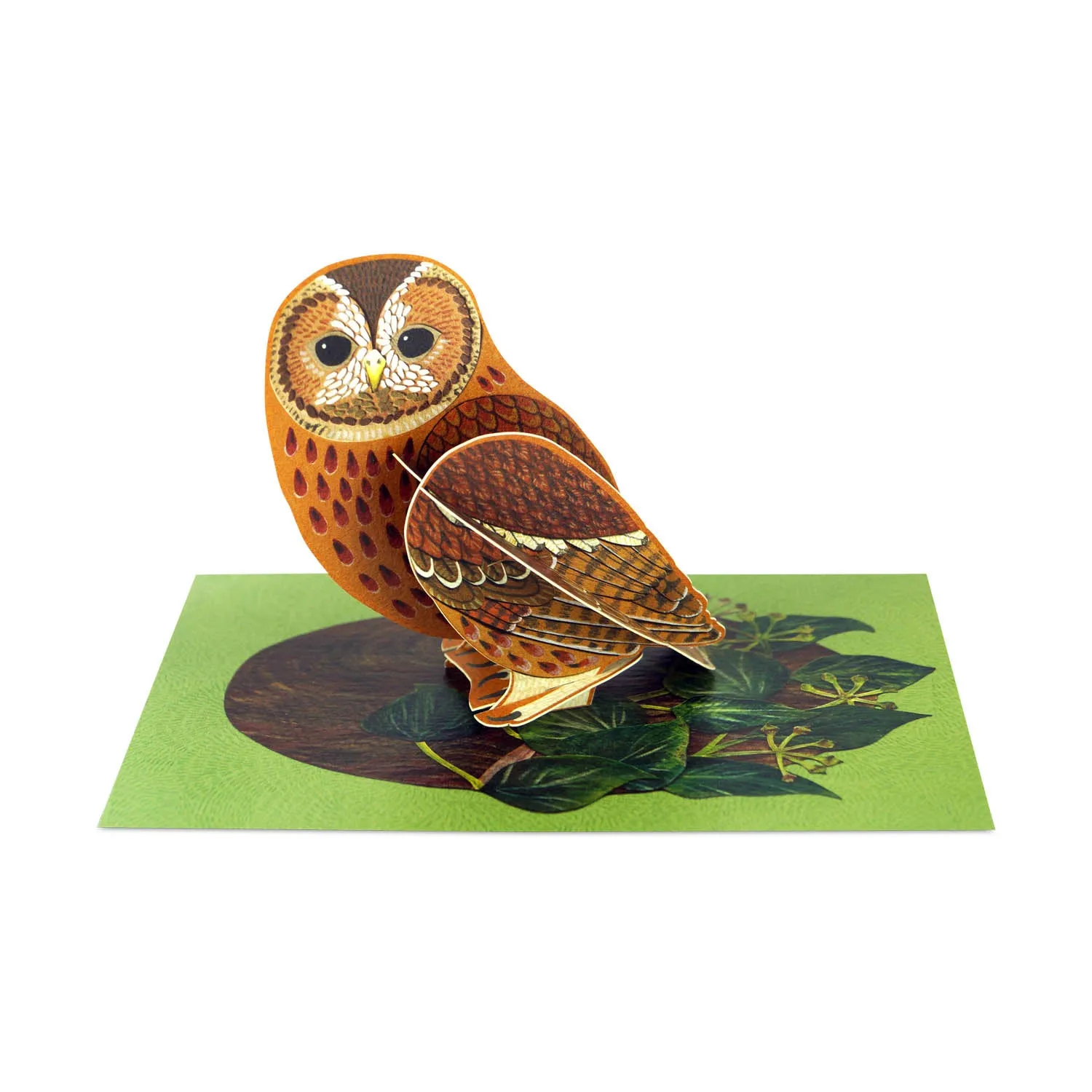 Pop-out Tawny Owl Card