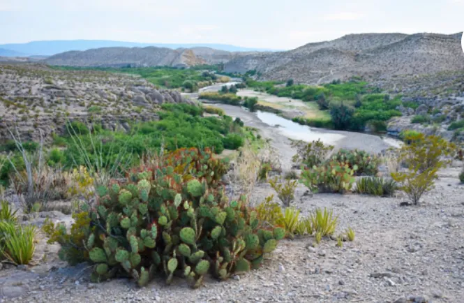 Rio Grande Art Print