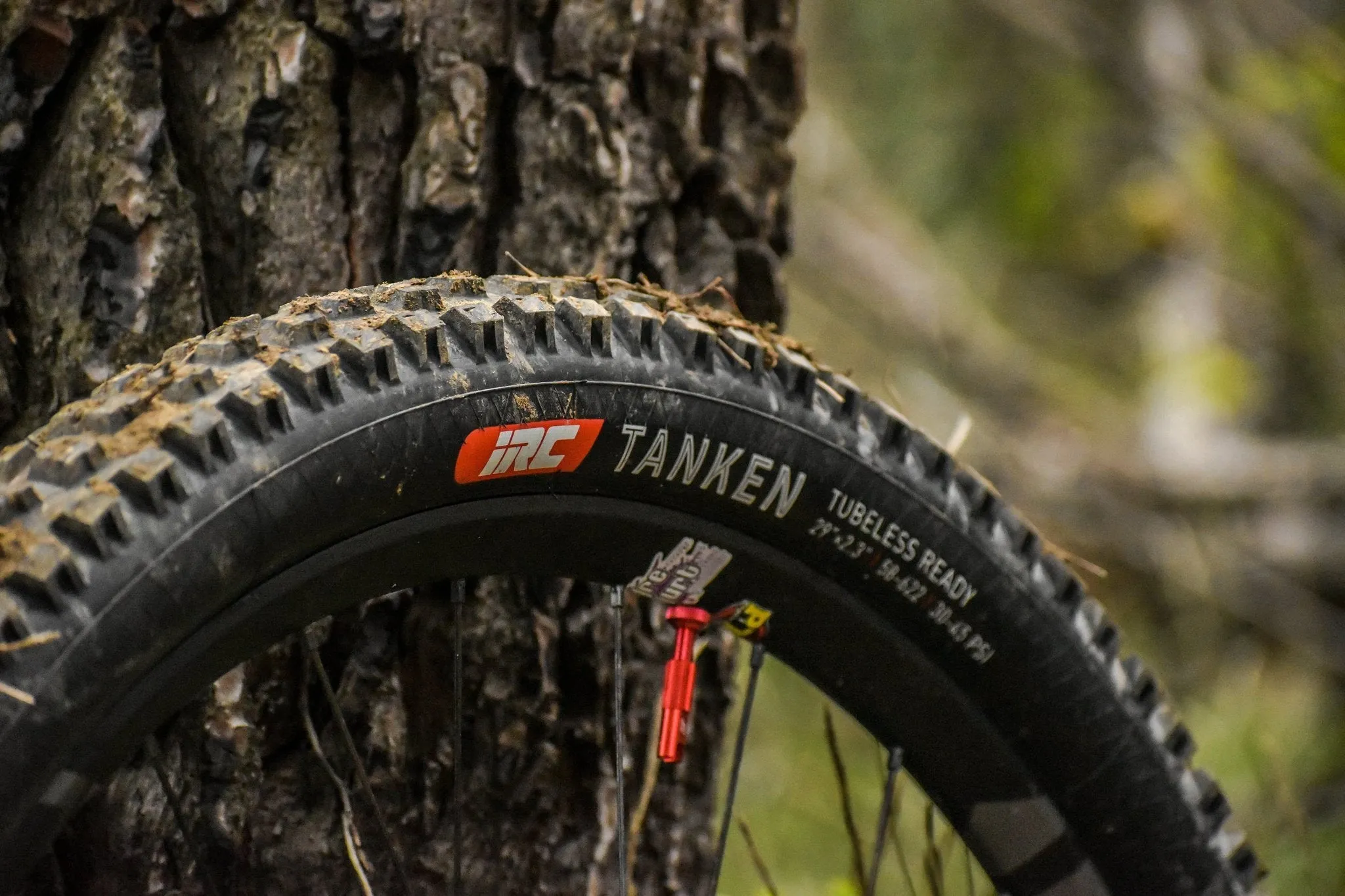 TANKEN 29X2.3