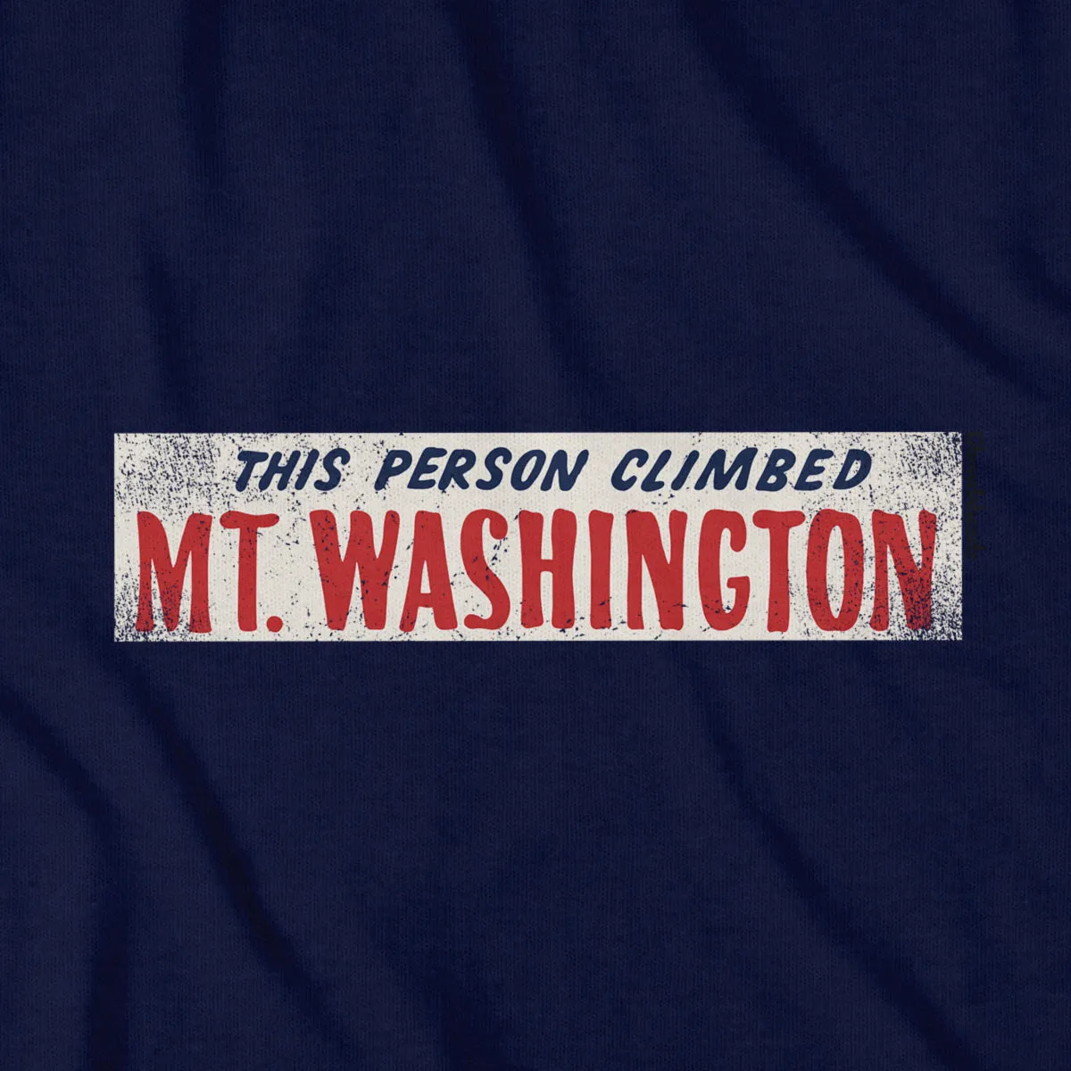 This Person Climbed Mt. Washington T-Shirt