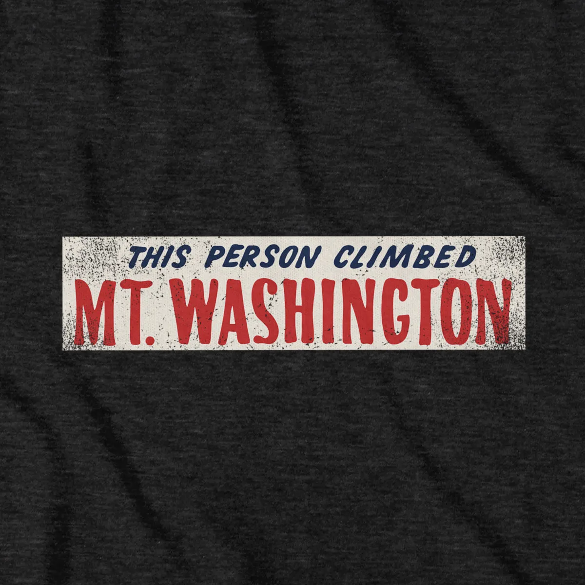 This Person Climbed Mt. Washington T-Shirt