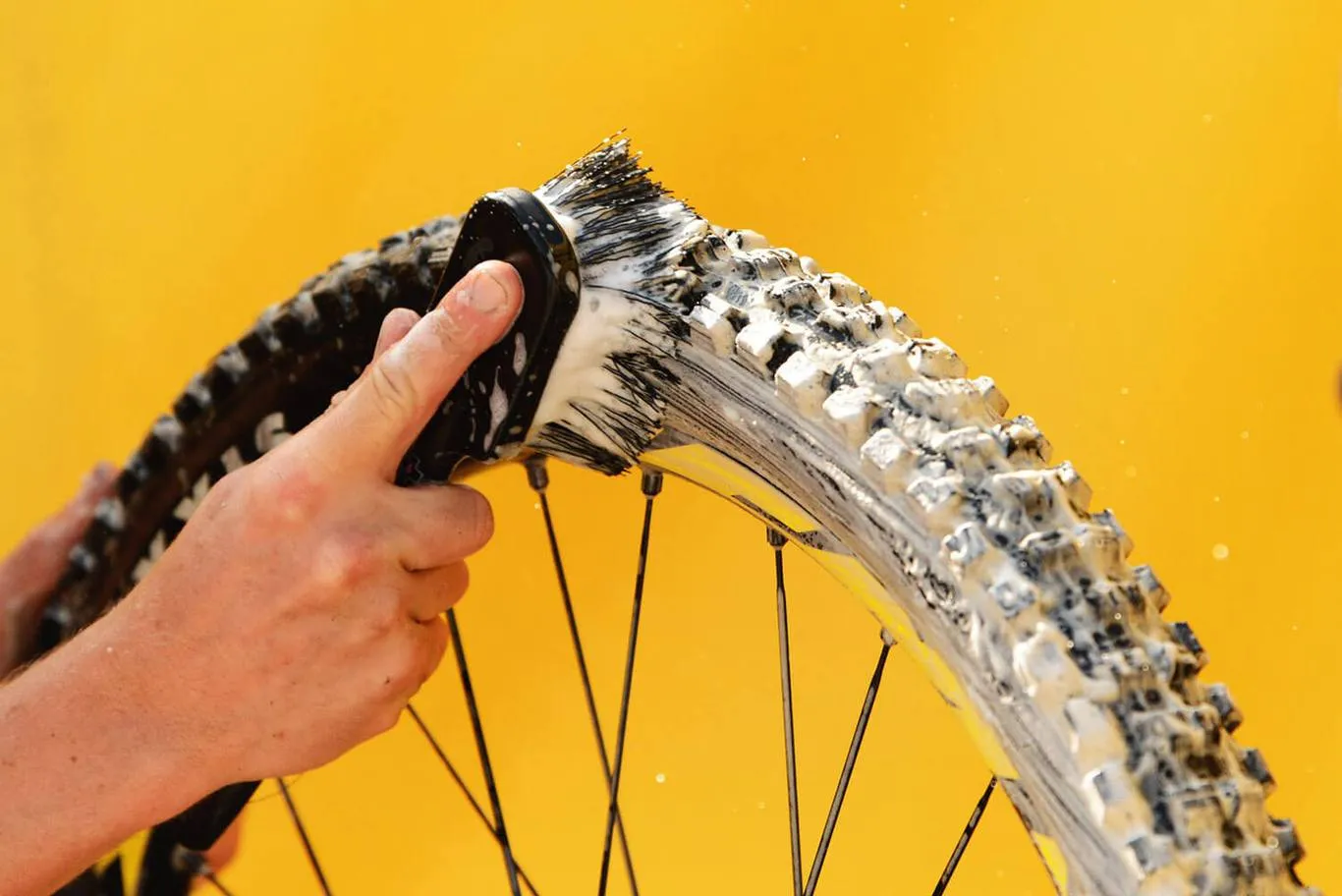 Tire and Cassette Brush