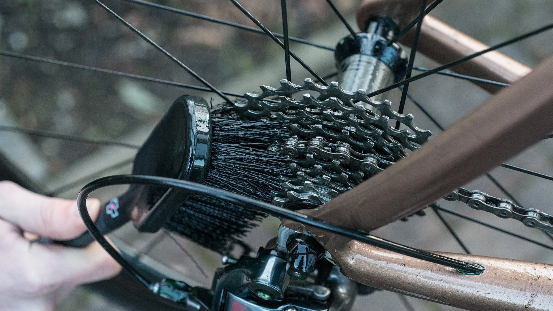 Tire and Cassette Brush