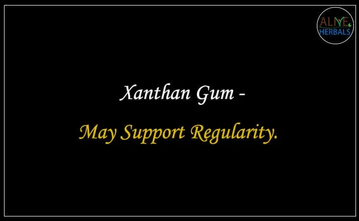 Xanthan Gum