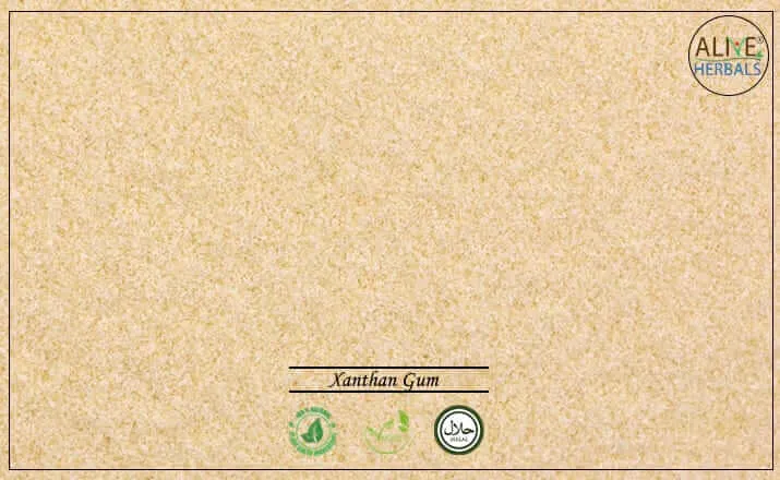 Xanthan Gum